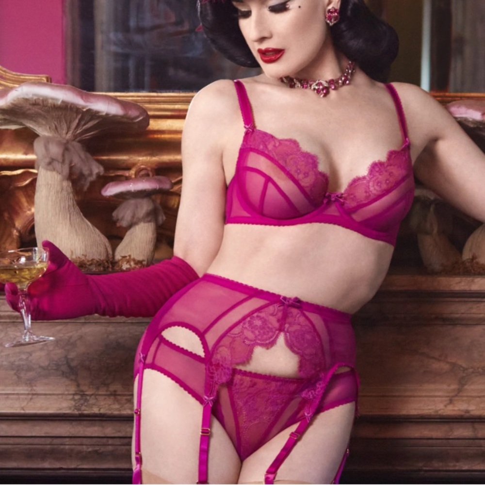 36D, Dita Von Teese Muse bra NEW with tags